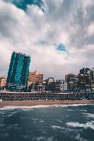 vertical_520_780